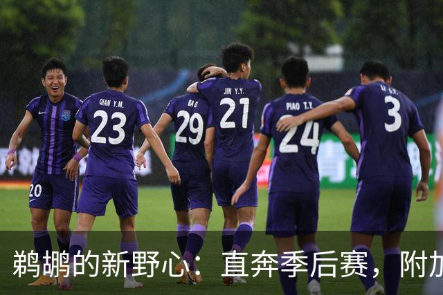 鹈鹕的新野心：直奔季后赛，附加赛不在计划内！